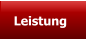 Leistung